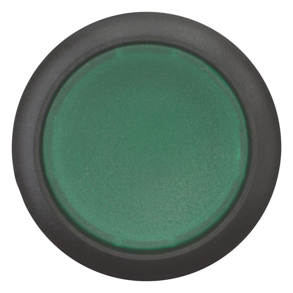 Leuchtdrucktaste flach C22S-DL-G-K10-230