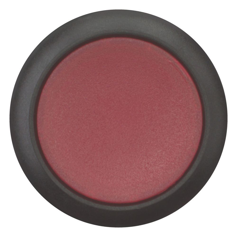 Leuchtdrucktaste flach C22S-DRL-R-K01-120