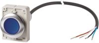 Leuchtdrucktaste flach 1S C30C-FDRL-#185952 Leuchtdrucktaste flach 1S C30C-FDRL-#185952