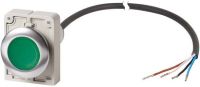 Leuchtdrucktaste flach 1S C30C-FDRL-#185982