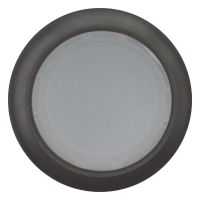 Leuchtdrucktaste flach C22S-DRL-W-K10-230