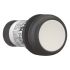 Drucktaste flach tastend C22S-D-W-K11
