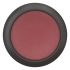 Leuchtdrucktaste flach C22S-DL-R-K01-24