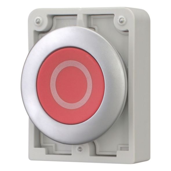 Drucktaste RMQ-Titan M30C-FD-R-X0