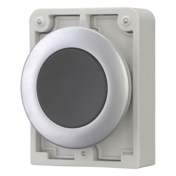 Drucktaste RMQ-Titan M30C-FD-S