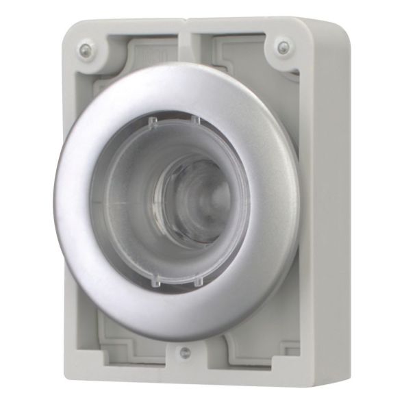Leuchtdrucktaste RMQ-Titan M30C-FDRL-X Leuchtdrucktaste RMQ-Titan M30C-FDRL-X