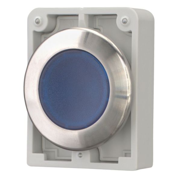 Leuchtdrucktaste RMQ-Titan M30I-FDRL-B Leuchtdrucktaste RMQ-Titan M30I-FDRL-B