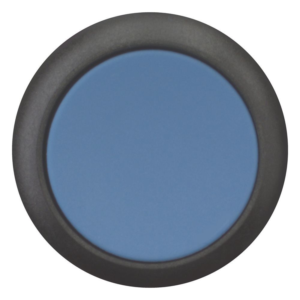 Entsperrungstaste blau R M22S-DZ-B-X6