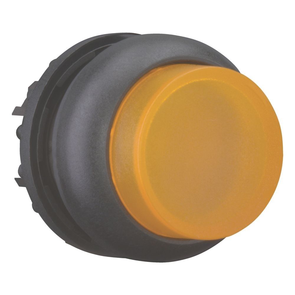 Leuchtdrucktaste RMQ-Titan M22S-DRLH-A