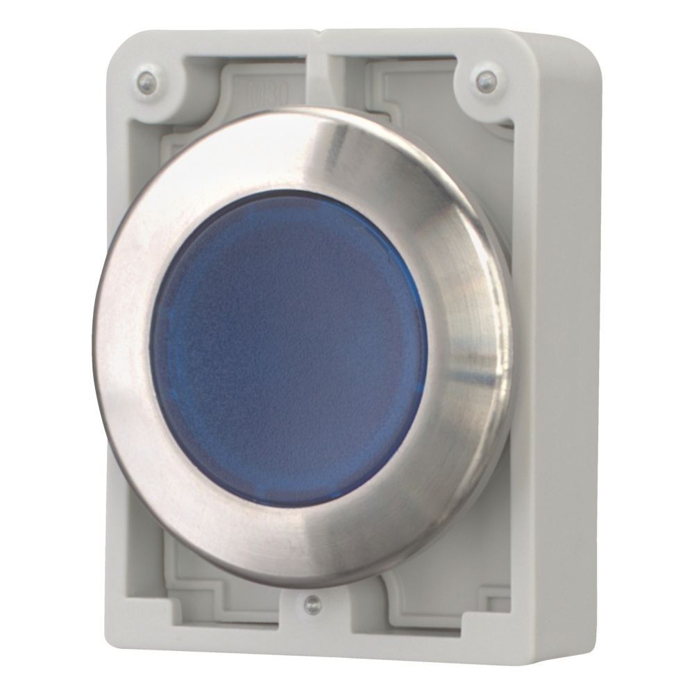 Leuchtdrucktaste RMQ-Titan M30I-FDRL-B