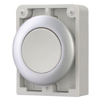 Drucktaste RMQ-Titan M30C-FD-GR