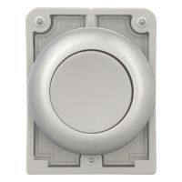 Drucktaste RMQ-Titan M30C-FD-GR