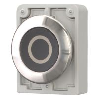 Drucktaste RMQ-Titan M30I-FD-S-X0