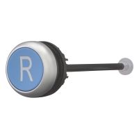 Entsperrungstaste blau R M22-DZ-B-X6