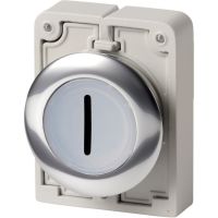 Leuchtdrucktaste RMQ-Titan M30C-FDL-W-X1