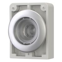 Leuchtdrucktaste RMQ-Titan M30C-FDRL-X