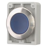 Leuchtdrucktaste RMQ-Titan M30I-FDRL-B