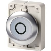 Leuchtdrucktaste RMQ-Titan M30I-FDRL-W-X0