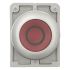 Leuchtdrucktaste RMQ-Titan M30C-FDRL-R-X0