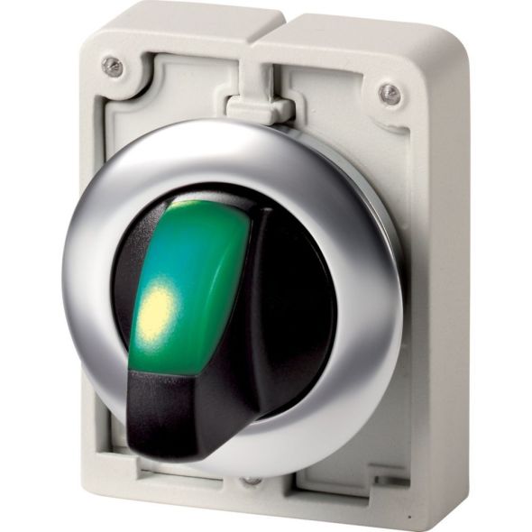 Leuchtwahltaste RMQ-Titan M30I-FWLK-G