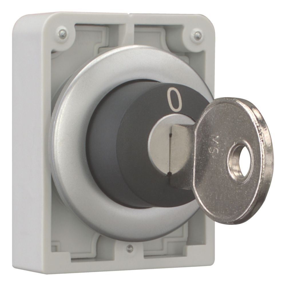 Schlüsseltaste Flat Front M30C-FWRS-MS6