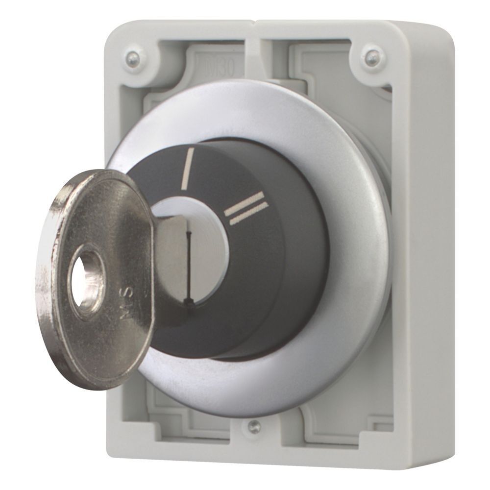 Schlüsseltaste Flat Front M30C-FWRS-X95