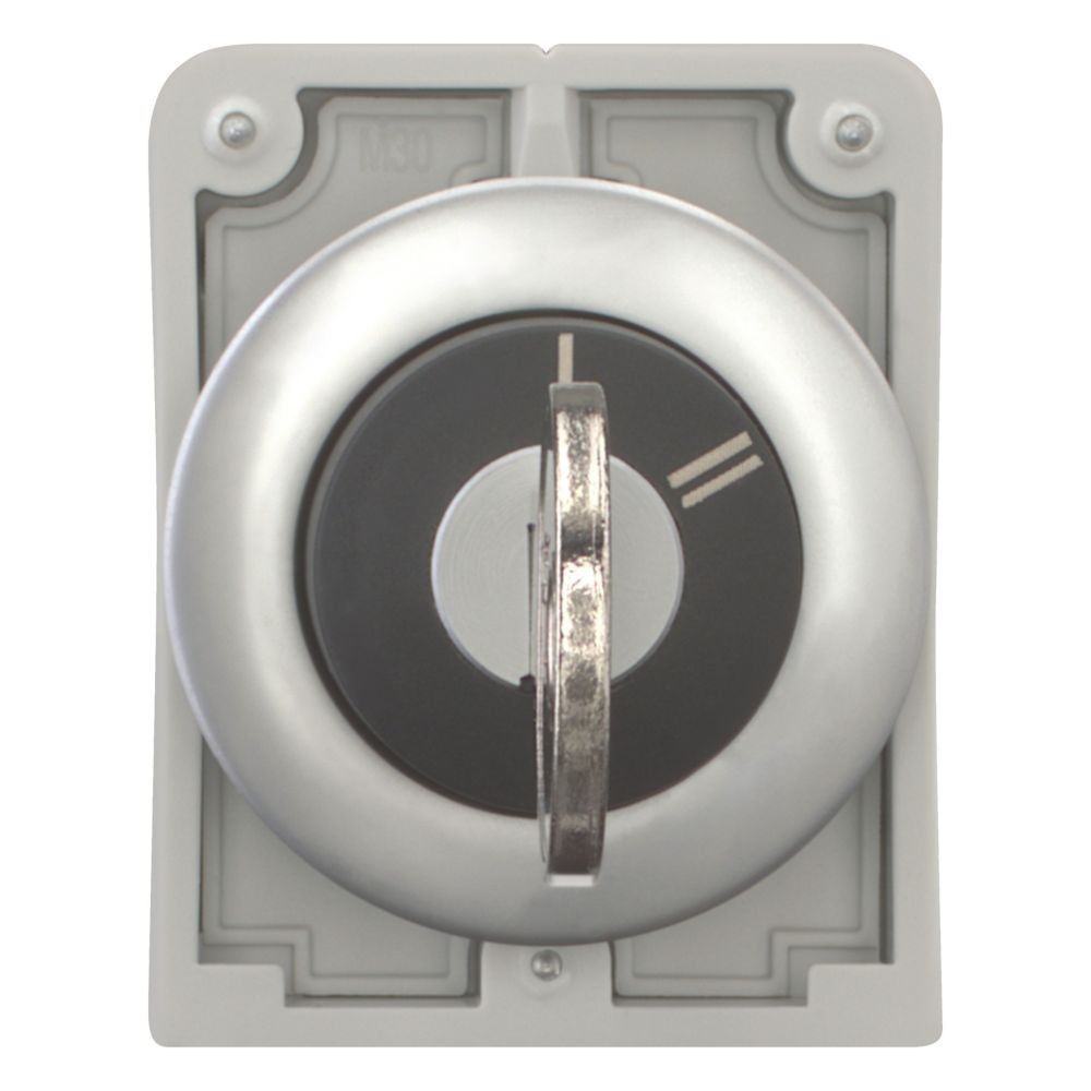 Schlüsseltaste Flat Front M30C-FWRS-X95