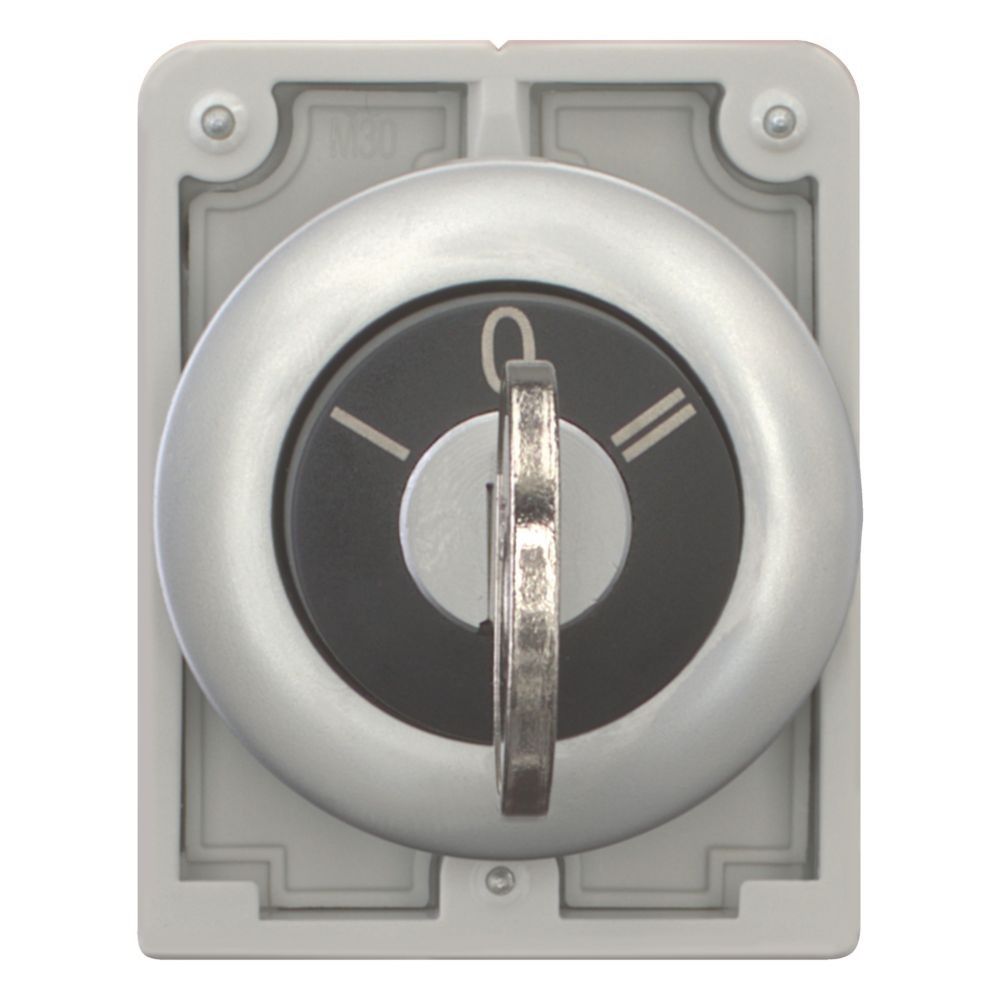 Schlüsseltaste Flat Front M30C-FWRS3