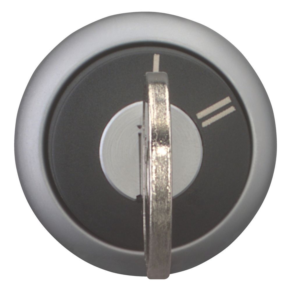 Schlüsseltaste M22-WRS-X95