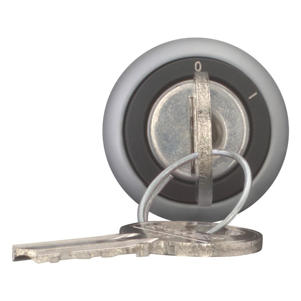 Schlüsseltaste Ronis 455 M22-WS-RS