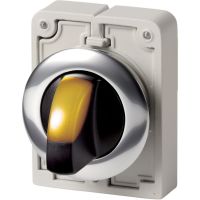 Leuchtwahltaste RMQ-Titan M30C-FWRLK-Y