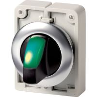 Leuchtwahltaste RMQ-Titan M30I-FWLK-G