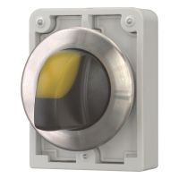Leuchtwahltaste RMQ-Titan M30I-FWLK3-Y
