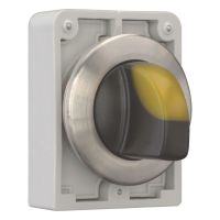 Leuchtwahltaste RMQ-Titan M30I-FWLK3-Y