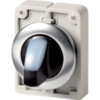 Leuchtwahltaste RMQ-Titan M30I-FWLKV-W
