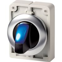 Leuchtwahltaste RMQ-Titan M30I-FWRLK-B