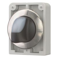 Leuchtwahltaste RMQ-Titan M30I-FWRLK3-W