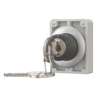 Schlüsseltaste Flat Front M30C-FWRS-RS
