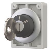 Schlüsseltaste Flat Front M30C-FWRS-X95