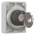 Schlüsseltaste Flat Front M30C-FWRS-X95
