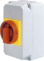 Reparaturschalter D5 33/HS-B15/7-D-MRG