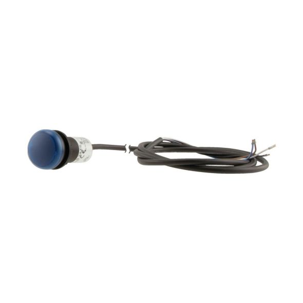 Leuchtmelder 4polig 3.5m C22-L-B-24-P65 Leuchtmelder 4polig 3.5m C22-L-B-24-P65