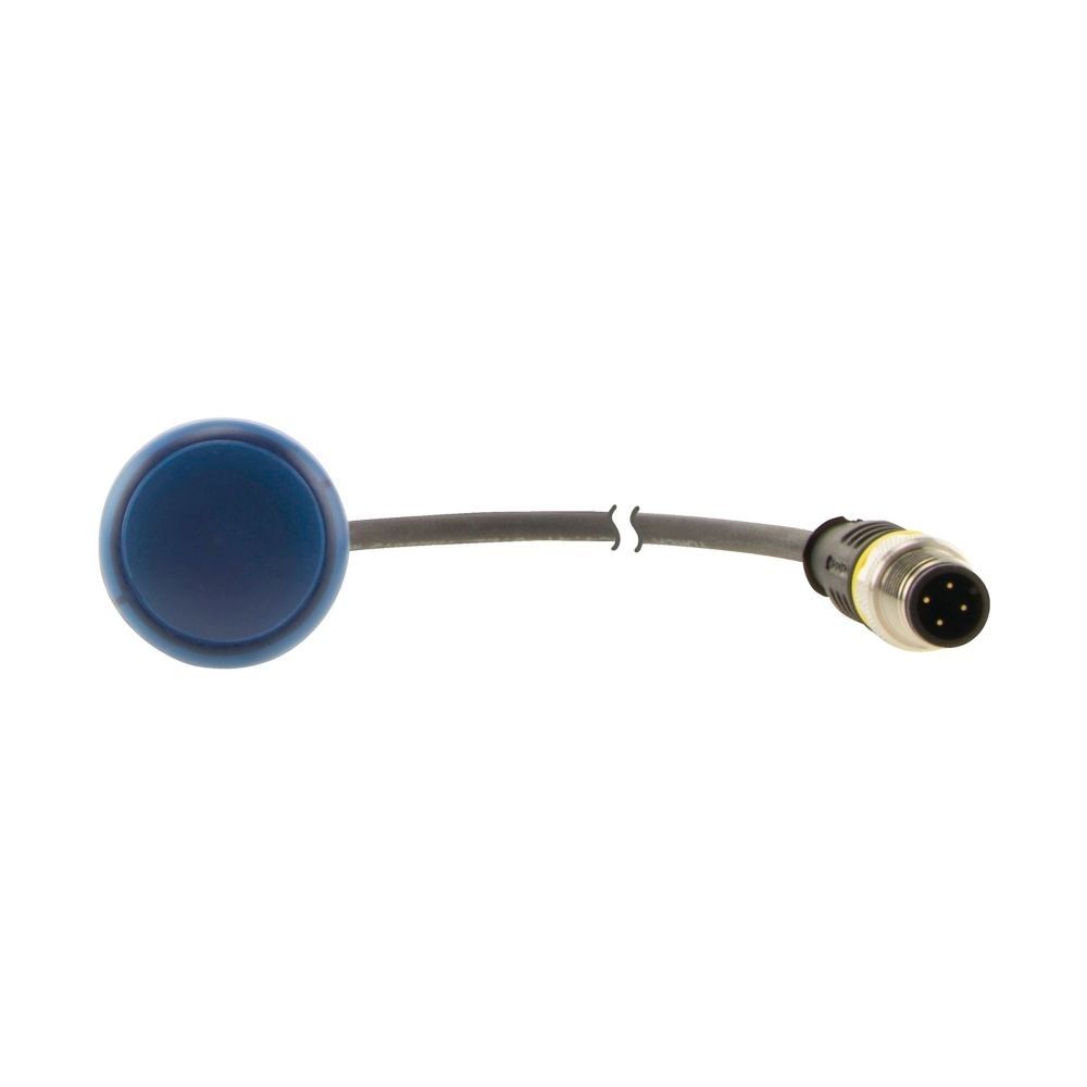 Leuchtmelder 4polig 0.2m C22-L-B-24-P1