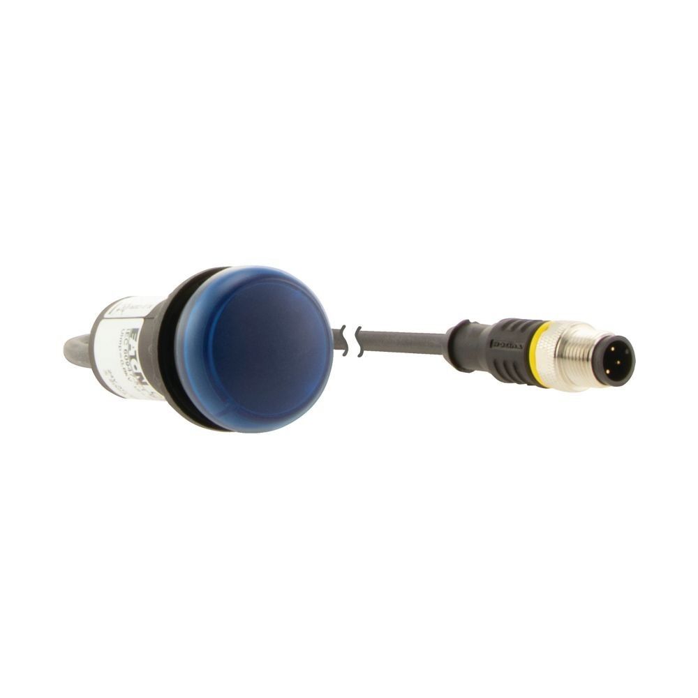 Leuchtmelder 4polig 0.2m C22-L-B-24-P1
