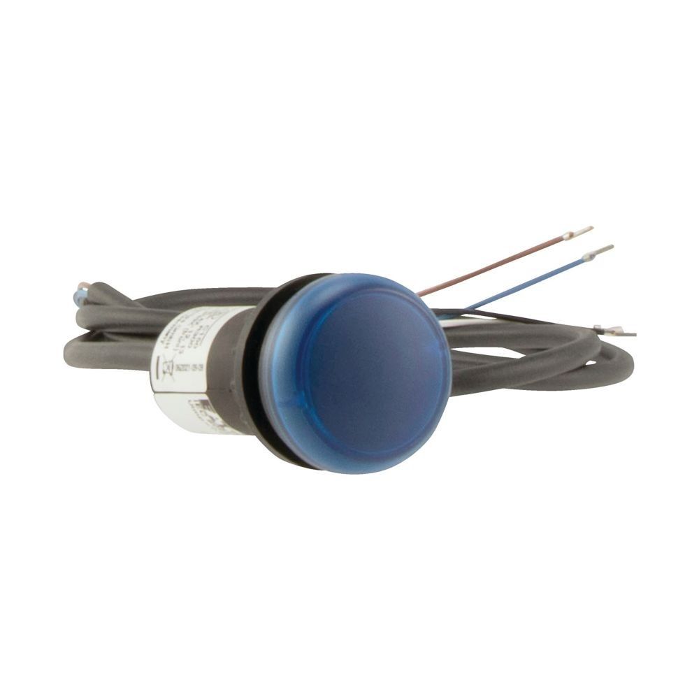 Leuchtmelder 4polig 3.5m C22-L-B-24-P65