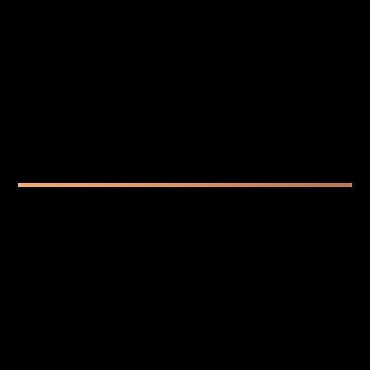Kupferschiene ZX2050