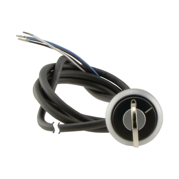 Schlüsseltaste RMQ compact C22-WS-MS1-K11-P65