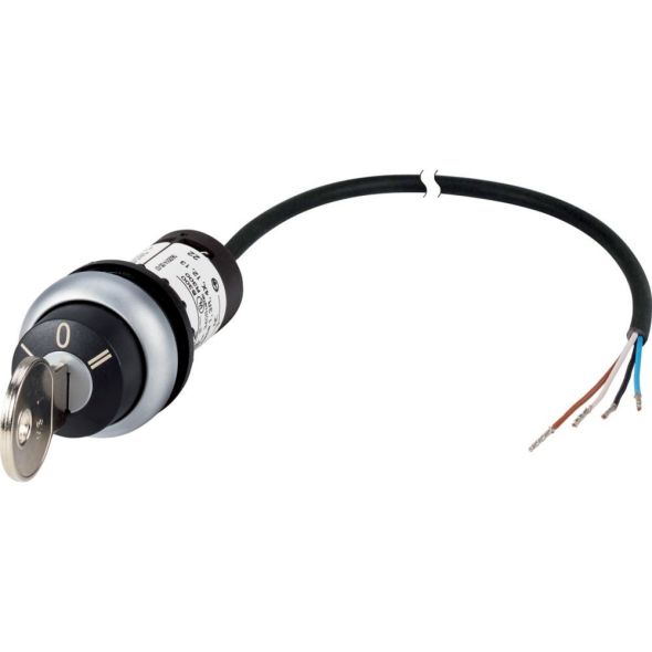 Schlüsseltaste RMQ compact C22-WS3-MS1-K20-P65