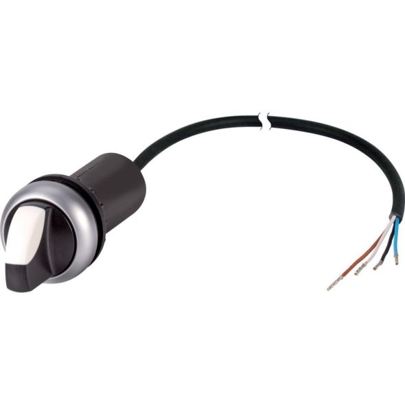 Wahltaste Knebelgriff 1S C22-WK-K10-P65 Wahltaste Knebelgriff 1S C22-WK-K10-P65