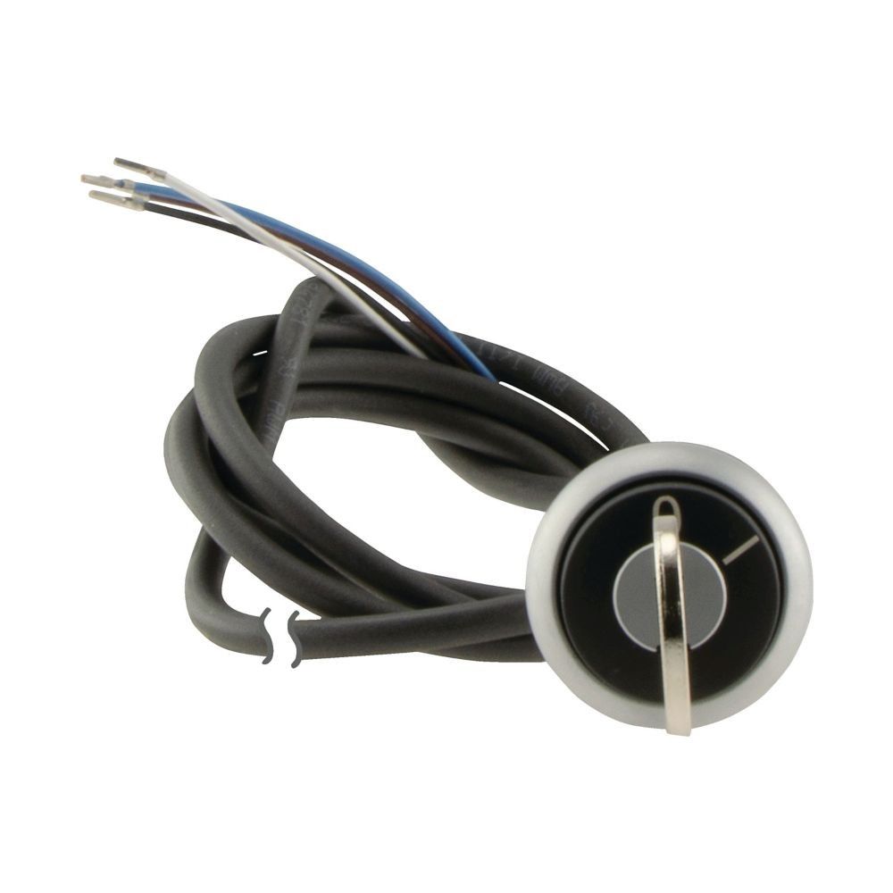 Schlüsseltaste RMQ compact C22-WS-MS1-K02-P62